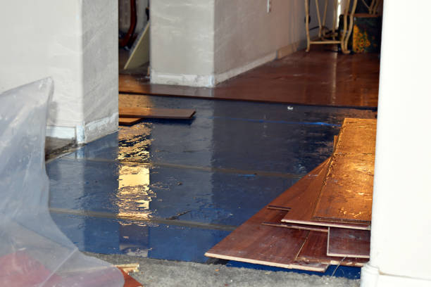 Professional Water Damage Restoration technician working in Long Valley, NJ